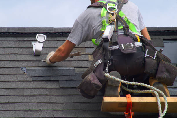 Best Gutter Installation and Repair  in Rancho Alegre, TX